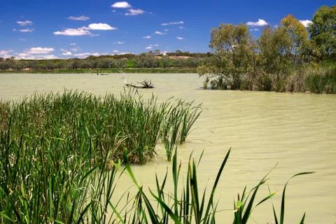 Wetlands Stock Photos