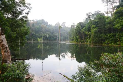 Wetlands Foto stock