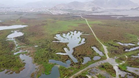 Wetlands Stock-Fotos