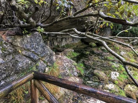 Wetlands at the source of the Cuervo River. Stock Photos