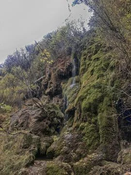 Wetlands at the source of the Cuervo River. Stock Photos