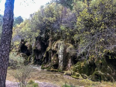 Wetlands at the source of the Cuervo River. Stock Photos