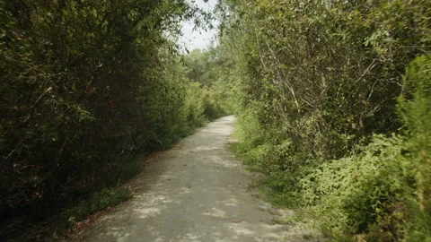 Wetlands Trails Looking Down The Path 4K 48FPS SLO-MO Stock Footage 218002812