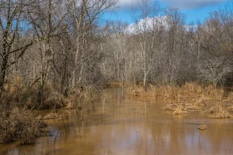 Wetlands in the wintertime Stock Photos