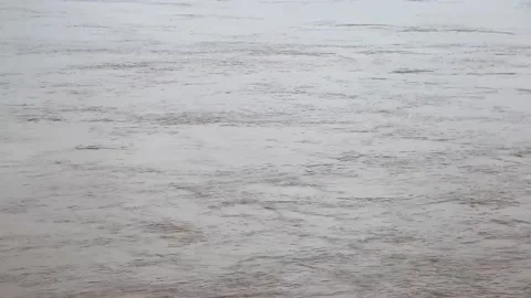 Wetlands by the Yellow River Stock Footage 235134953