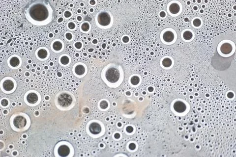 Wetness macro from under the plastic material. Stock Photos