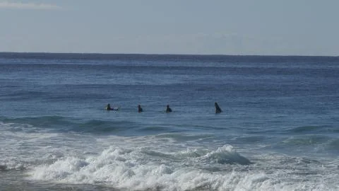 Wetsuit surfers6 Stock Photos