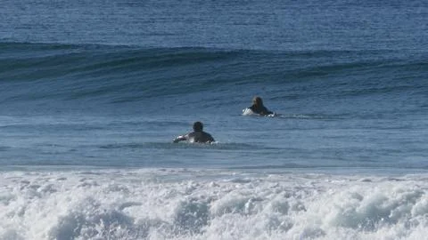 Wetsuit surfers9 Stock Photos