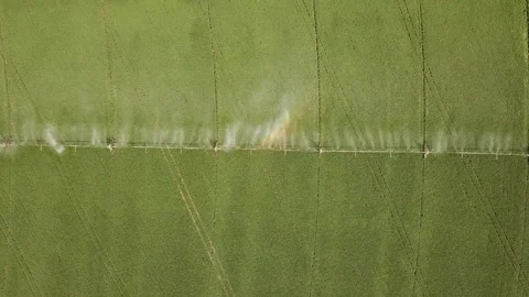 Wetting the ground with the help of irrigation Stock-Footage 114647170