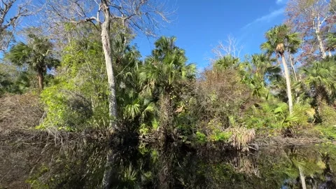 Weviva River side view Stock Footage 293712132