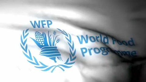 WFP   3840x2160UHD Video stock 224612892