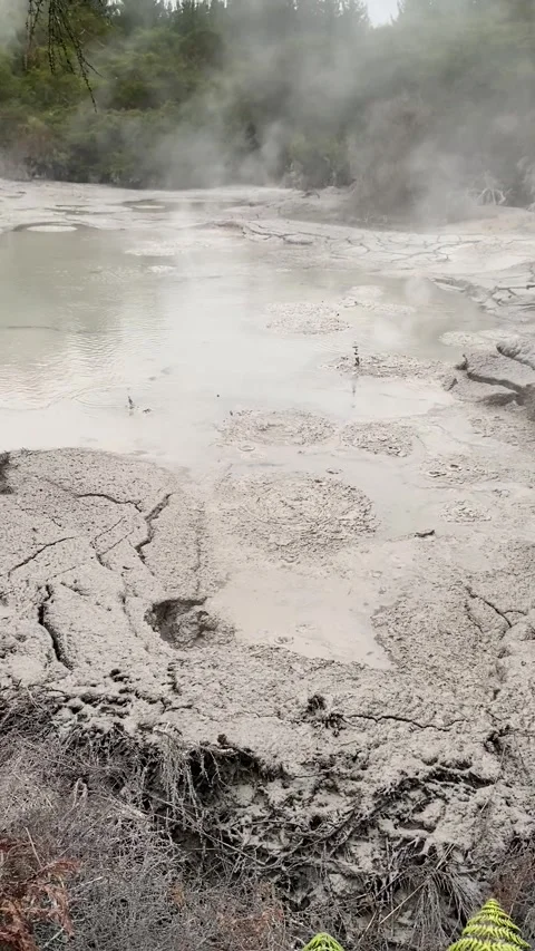 Whakarewarewa hot spring near Rotorua Stock-Footage 344122951
