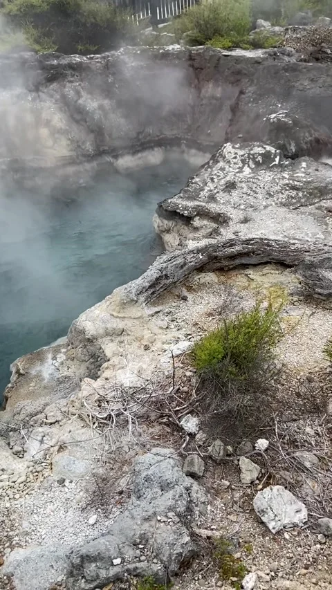 Whakarewarewa hot spring near Rotorua Vidéo 344123547