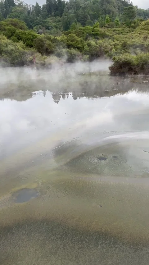 Whakarewarewa hot spring near Rotorua Vídeos de archivo 344123601