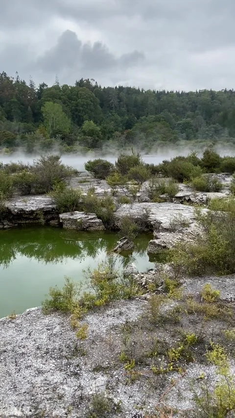 Whakarewarewa hot spring near Rotorua Stock Footage 344123619