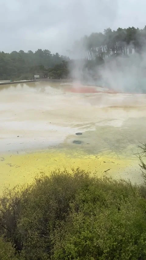 Whakarewarewa park hot spring waters near Rotorua 库存影片 344122983