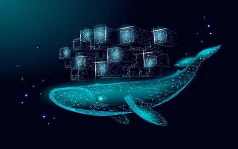 Whale and container computer docker developer app concept. Business digital open Stock Illustration
