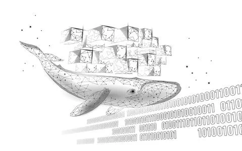 Whale and container computer docker developer app concept. Business digital open Stock Illustration