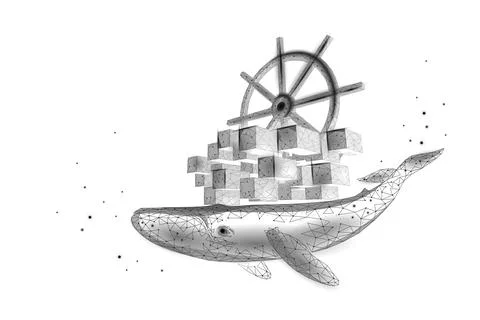 Whale and container computer docker developer app concept. Business digital open Stock Illustration