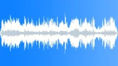 WHALE, BELUGASound Effect