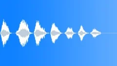 WHALE, BELUGA Sound Effect