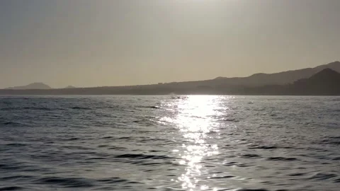 Whale Breaching Stock Footage 218272323