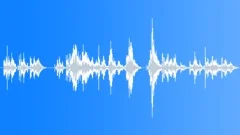 Whale Call Echoes Stock Music
