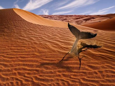 Whale in Desert Stock Photos