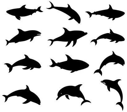 Whale, dolphin silhouette set vector on transparent background Stock-Illustration