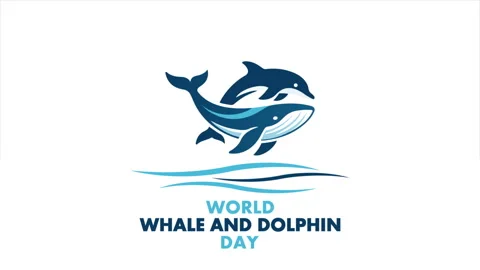 Whale Dolphin World Day Video stock 338409431