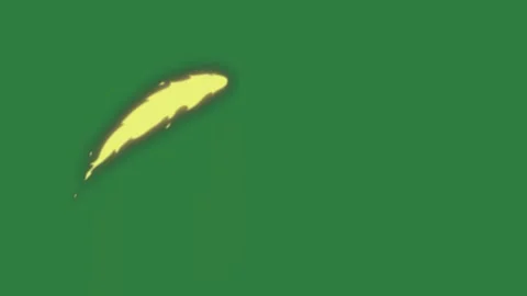 Whale Dynamic On Green Screen Chroma Key Background Stock Footage 338015659