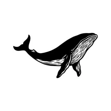 Whale fish silhouette vector hand drawn Stock Illustration
