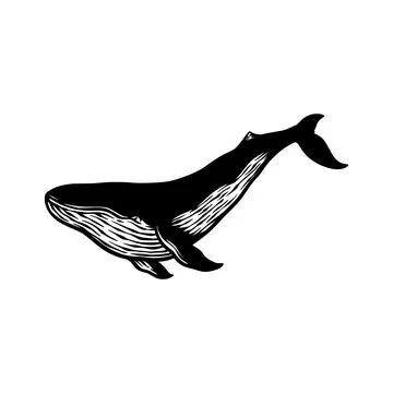 Whale fish silhouette vector hand drawn Stock Illustration