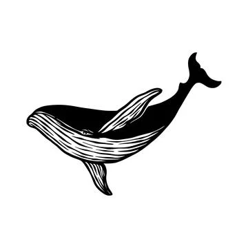 Whale fish silhouette vector hand drawn Stock Illustration