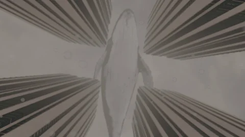 Whale Flies In The Stormy Sky Stock-Footage 124780225