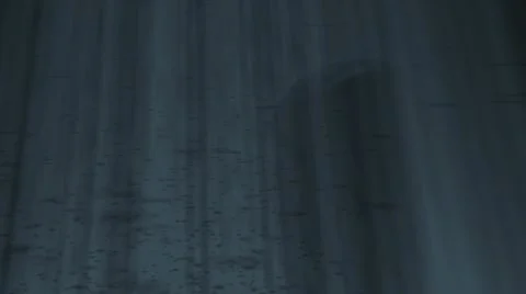 Whale Stock Footage 7743979