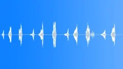 WHALE, HUMPBACK Sound Effect