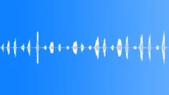 WHALE, HUMPBACK Sound Effect