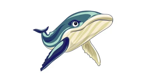 Whale icon animation Stock Footage 152555922