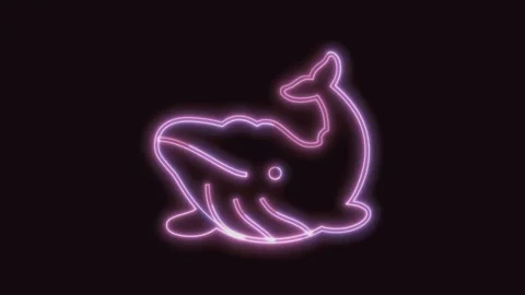 Whale Icon Neon Seamless Loop with Black Background 4K Stock Footage 311304211