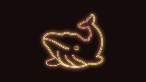 Whale Icon Neon Seamless Loop with Black Background 4K Video stock 311433565