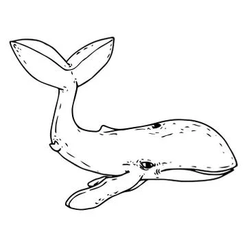Whale icon. Vector illustration of a whale. Hand drawn cute whale. Stock Illustration