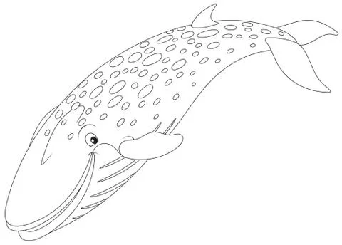 Whale Stock Illustration
