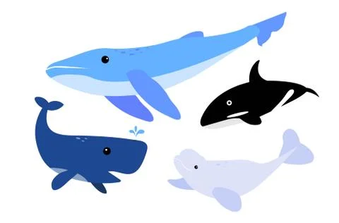 Whale Stock Illustration