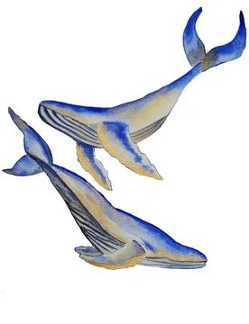 Whale Illustrazione stock