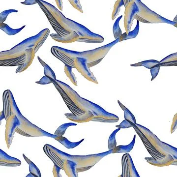 Whale Stock Illustration