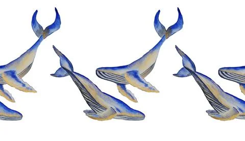 Whale Stock Illustration