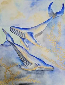 Whale Stock Illustration