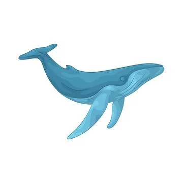 Whale illustration Stock Illustration