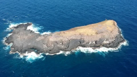 Whale Island Stock-Footage 181777178